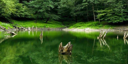 نمایندگی هایک ویژن در مازندران